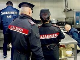 Ariccia e Genzano controlli dei Carabinieri: un arresto per spaccio, sequestri e sanzioni ad attività commerciali