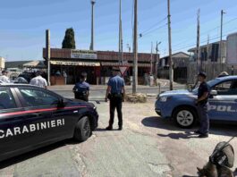Lavinio, Maxi operazione interforze: chiusi esercizi commerciali irregolari, sequestrata droga e patenti ritirate