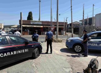 In Libera Uscita 8