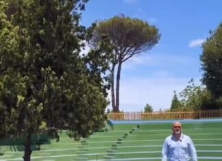 Nettuno, quasi terminati i lavori di riqualificazione dell’anfiteatro e del bocciometro al Parco Palatucci In Libera Uscita 18
