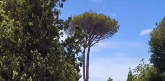 Nettuno, quasi terminati i lavori di riqualificazione dell’anfiteatro e del bocciometro al Parco Palatucci