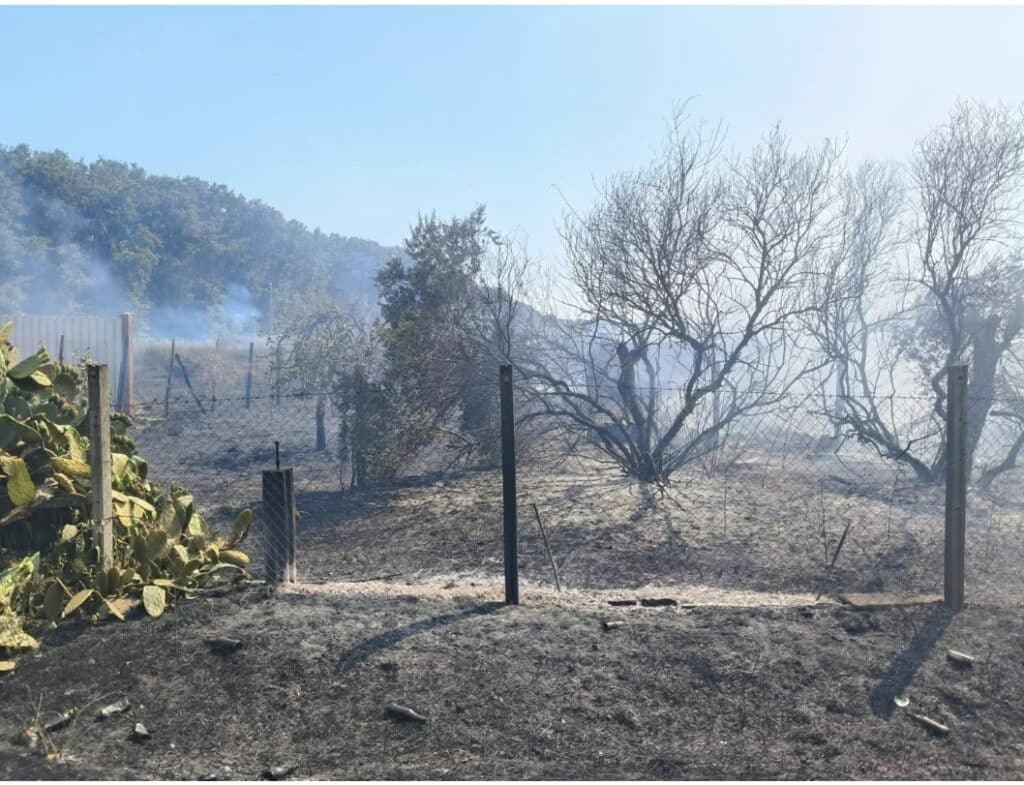 Incendio a via delle Grugnole: ore di duro lavoro per le squadre della Protezione civile Nettuno 2