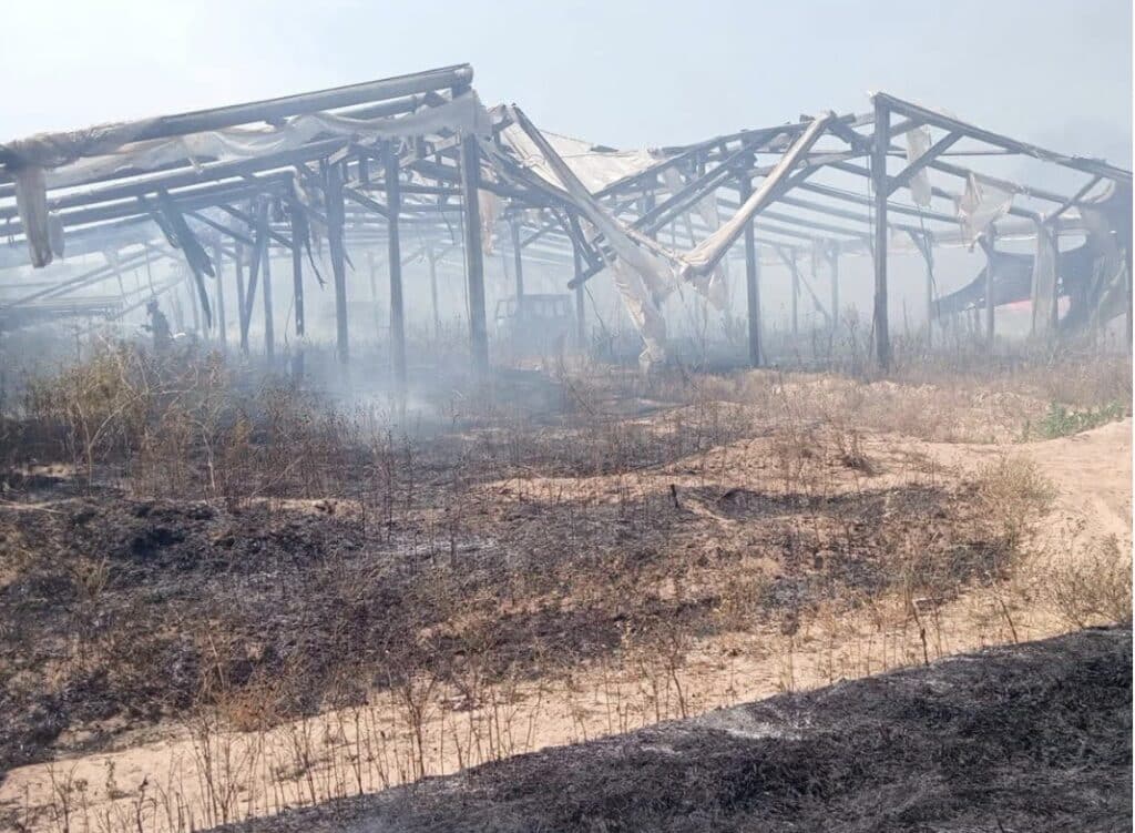 Incendio a via delle Grugnole: ore di duro lavoro per le squadre della Protezione civile Nettuno 1