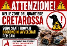 Polpette avvelenate per cani e gatti, massima attenzione a Cretarossa