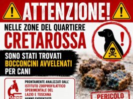 Polpette avvelenate per cani e gatti, massima attenzione a Cretarossa