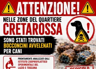 In Libera Uscita 18