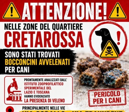In Libera Uscita 1
