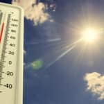 Ondate di calore, allerta massima fino a domani. Ecco come difendersi In Libera Uscita 5