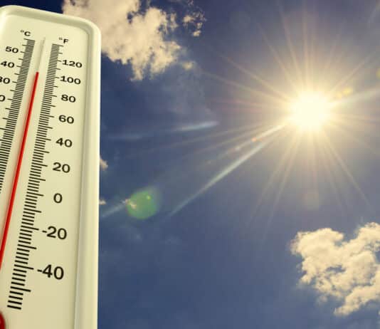 Ondate di calore, allerta massima fino a domani. Ecco come difendersi