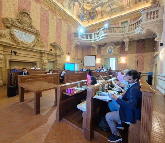 Anzio, Sicurezza, mozione unanime del Consiglio comunale: “Piano straordinario per il litorale”