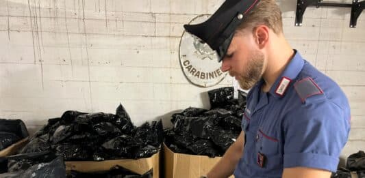 Ardea, traffico illecito, i Carabinieri sequestrano oltre 100 kg di papaveri di oppio
