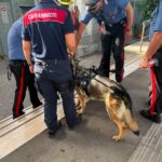 Operazione ad alto impatto a Lavinio. Controlli a tappeto dei Carabinieri: sanzioni per lavoro nero e una denuncia per possesso di coltelloo In Libera Uscita 5