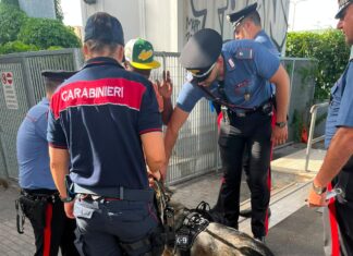 Operazione ad alto impatto a Lavinio. Controlli a tappeto dei Carabinieri: sanzioni per lavoro nero e una denuncia per possesso di coltelloo In Libera Uscita 8