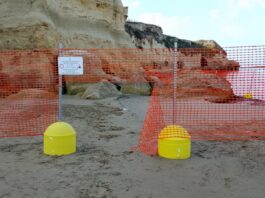Anzio, vandali in azione alle grotte di Nerone, tagliata la Rete di protezione
