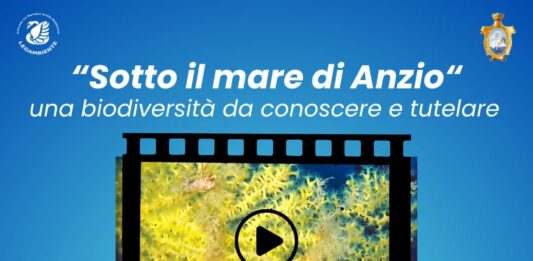 Sotto il mare di Anzio, una biodiversità da conoscere e tutelare