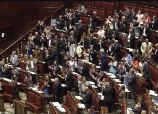 In Libera Uscita 13
