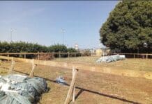 Cisterna, nuovo bocciodromo, al via i lavori nel quartiere San Valentino