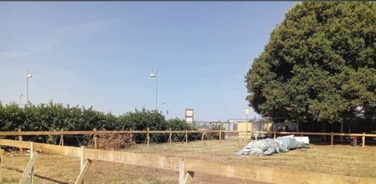 Cisterna, nuovo bocciodromo, al via i lavori nel quartiere San Valentino