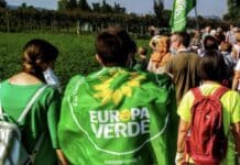 Nucleo Sommozzatori di Roma, Europa Verde: «Carenza di personale ormai insostenibile. Il Governo intervenga subito»