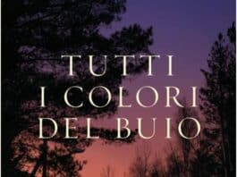 Narrativa, Tutti i colori del buio, il libro di Chris Whitaker