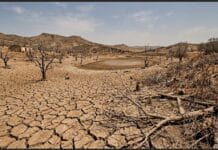 La Crisi Climatica tra scienza e disinformazione: Effetti, Consenso Scientifico, gli interessi del negazionisti