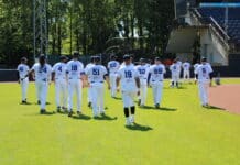 Nettuno Baseball 1945 rinnova la partnership con VIVI energia, confermando un legame costruito negli anni a favore del territorio