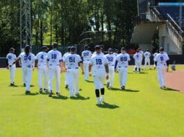 Nettuno Baseball 1945 rinnova la partnership con VIVI energia, confermando un legame costruito negli anni a favore del territorio