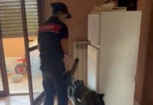 Pomezia, blitz dei Carabinieri in via dei Papiri a Santa Palomba: un arresto per droga e occupazione abusiva, sequestrati stupefacenti