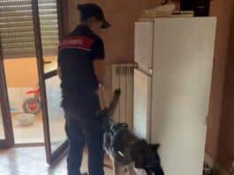 Pomezia, blitz dei Carabinieri in via dei Papiri a Santa Palomba: un arresto per droga e occupazione abusiva, sequestrati stupefacenti