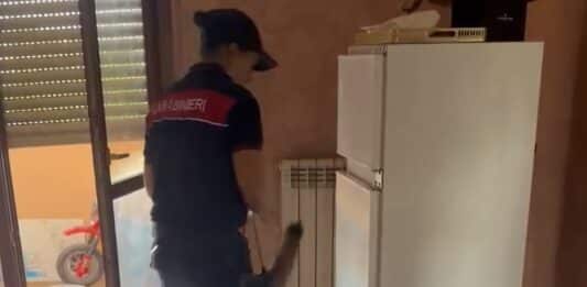 Pomezia, blitz dei Carabinieri in via dei Papiri a Santa Palomba: un arresto per droga e occupazione abusiva, sequestrati stupefacenti