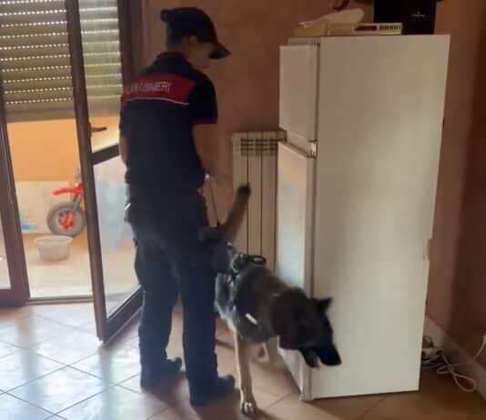 Pomezia, blitz dei Carabinieri in via dei Papiri a Santa Palomba: un arresto per droga e occupazione abusiva, sequestrati stupefacenti