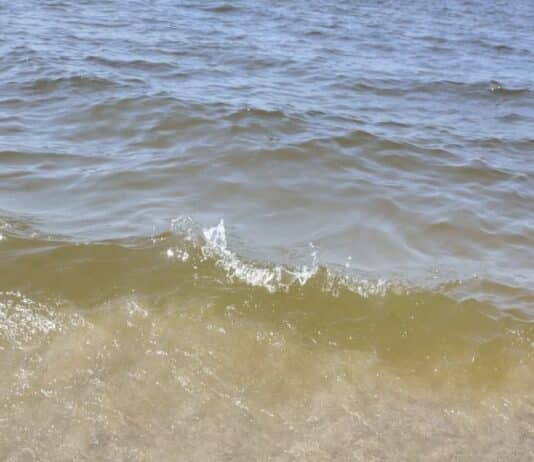 Mare giallo e “acque cotte”: cosa sta succedendo al litorale del Lazio?