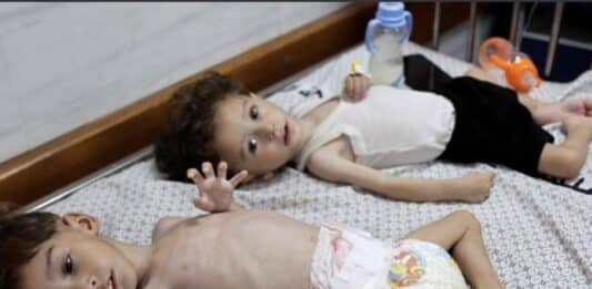 M.O.: Boldrini, si’ al Nobel per la pace a bimbe e bimbi di Gaza