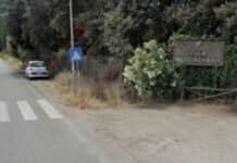 Anzio, lettera: pericolo sul tratto di via Ardeatina compreso tra ingresso Riserva Naturale di Tor Caldara e via dei Lillà