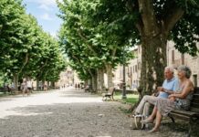 Gli alberi in città sono una difesa contro il caldo e la crisi climatica