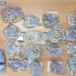Roma Termini, la Polizia di Stato sequestra carico con 8 kg di cocaina In Libera Uscita 7