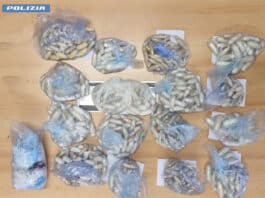 Roma Termini, la Polizia di Stato sequestra carico con 8 kg di cocaina