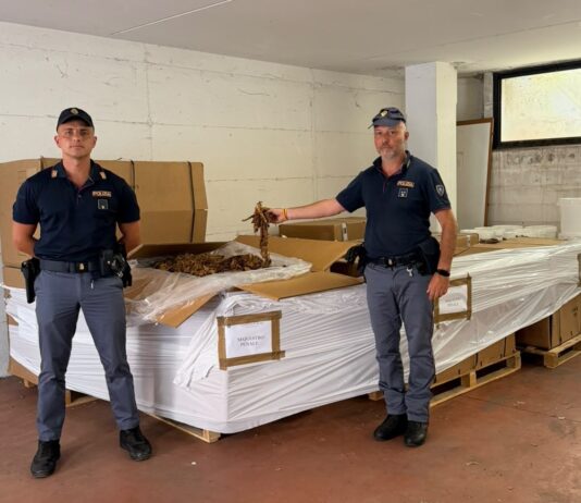 Roma, capannone adibito a deposito di tabacco: sequestrati 1359 kg di tabacco da Polizia e Finanza
