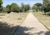 Bonifica e pulizia al parco Palatucci, continuano gli interventi straordinari In Libera Uscita 21