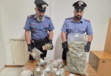 Nettuno, scoperta serra di marijuana in un giardino alla Verdiana, due arresti