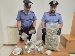 Nettuno, scoperta serra di marijuana in un giardino alla Verdiana, due arresti