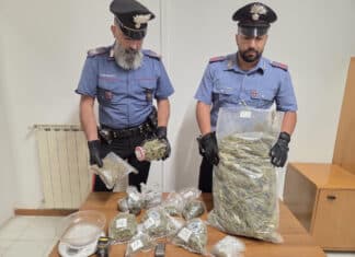 Nettuno, scoperta serra di marijuana in un giardino alla Verdiana, due arresti In Libera Uscita 8