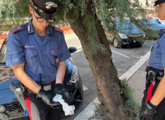 Ostia, controlli dei Carabinieri tra piazza Gasparri e l’idroscalo: 7 persone arrestate e 11 denunciate In Libera Uscita 8