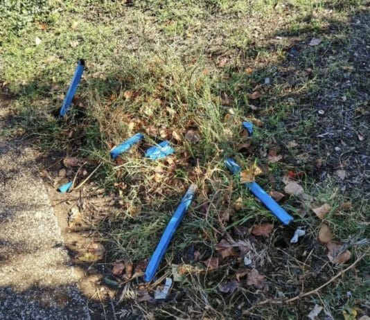 Violenza minorile, SI: “La panchina blu distrutta ad Aprilia e il vuoto educativo che il Governo non vuole vedere”