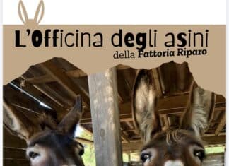 In Libera Uscita 18
