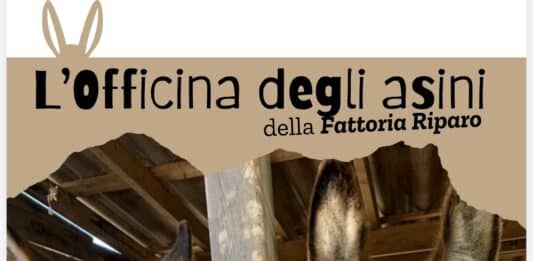In Libera Uscita 2
