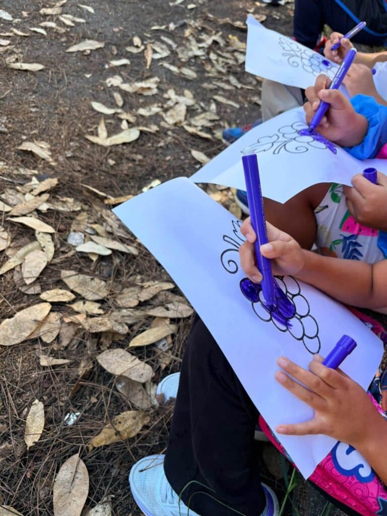 IC Anzio V, la vendemmia a scuola: un successo di partecipazione 2