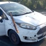 Aprilia-Nettuno, tragedia sfiorata a Via dei Cinque Archi: ramo caduto sfonda parabrezza auto In Libera Uscita 7