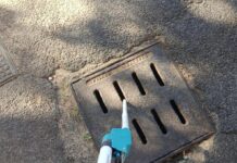 Anzio. Caso di infezione da virus West Nile, eseguita la disinfestazione
