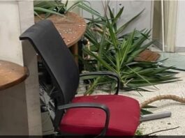 Assalto alla Cgil, confermate le condanne ai capi di Forza Nuova Fiore e Castellino